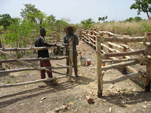 Our task was to build fence