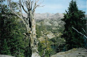 Above Heart Lake