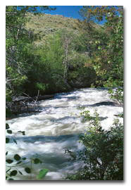 Pole Creek