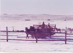 Dan and Duke pulling a hay wagon